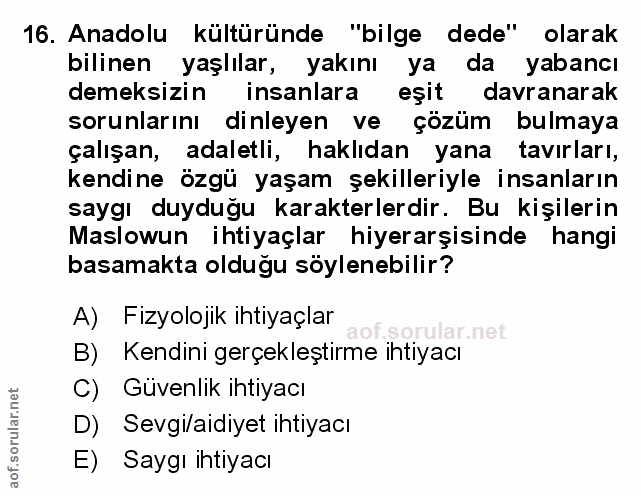 Soru 16