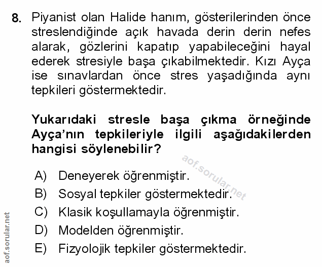 Soru 8