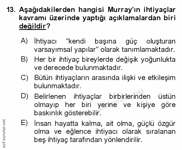 Soru 13