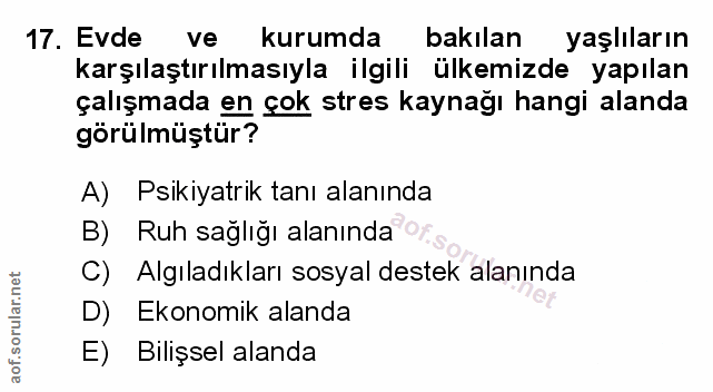 Soru 17
