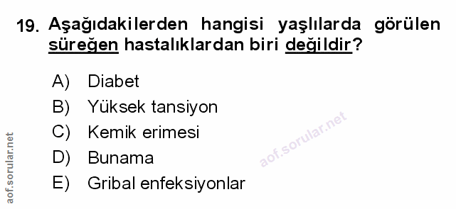 Soru 19