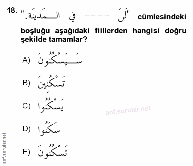 Soru 18