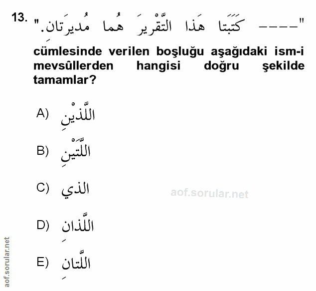 Soru 13