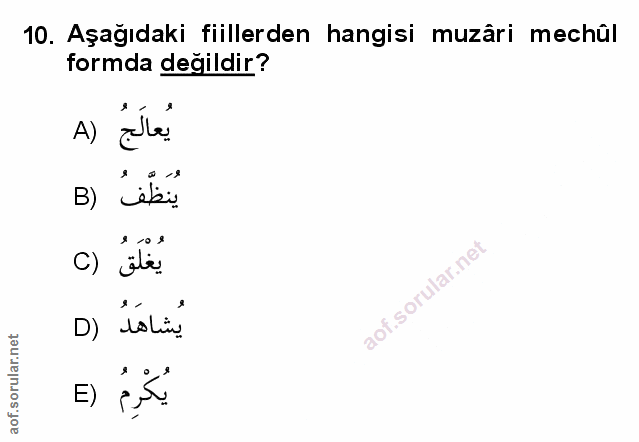 Soru 10