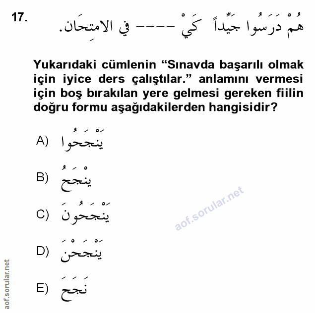 Soru 17