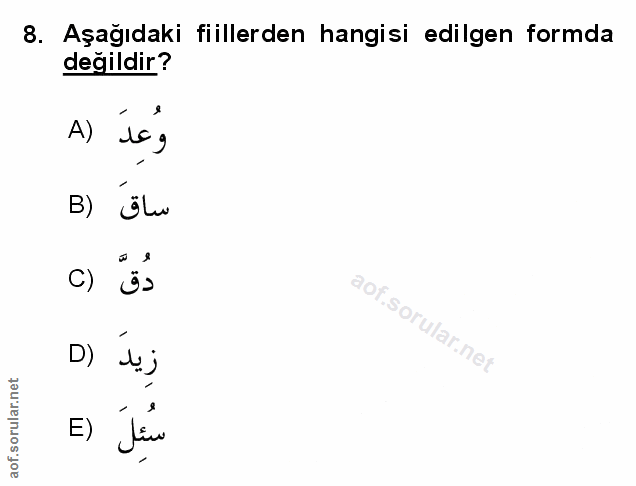 Soru 8