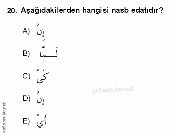 Soru 20