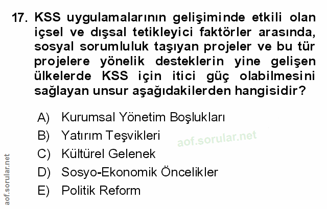 Soru 17