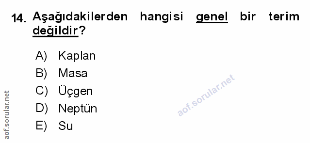 Soru 14