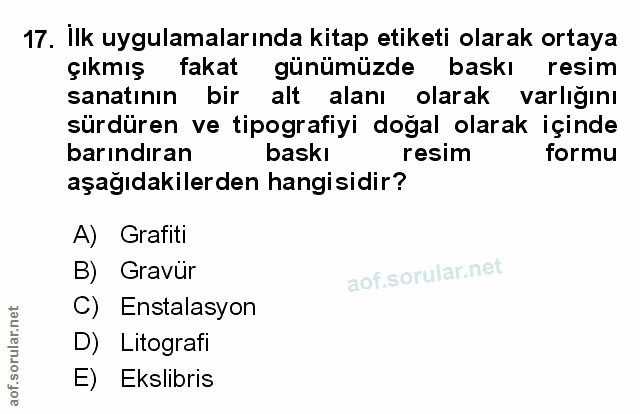 Soru 17