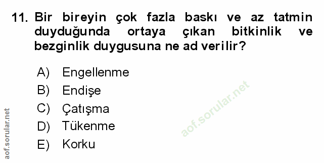 Soru 11