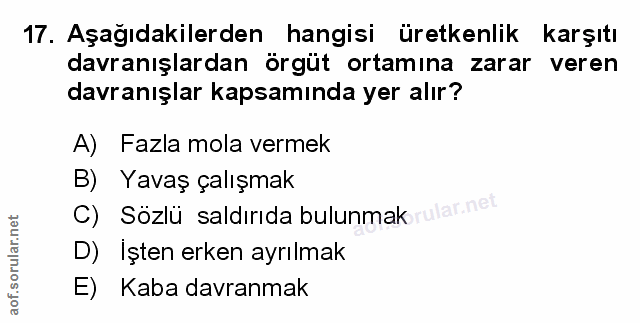 Soru 17