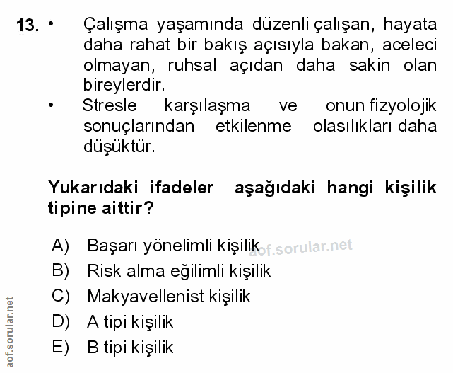 Soru 13