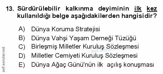 Soru 13