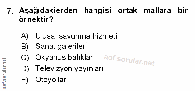 Soru 7