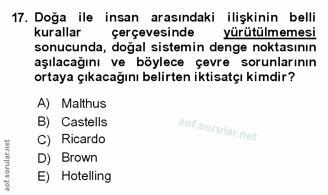Soru 17