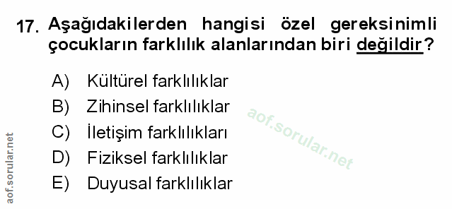 Soru 17