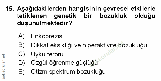 Soru 15