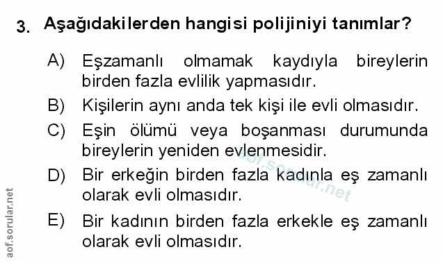 Soru 3