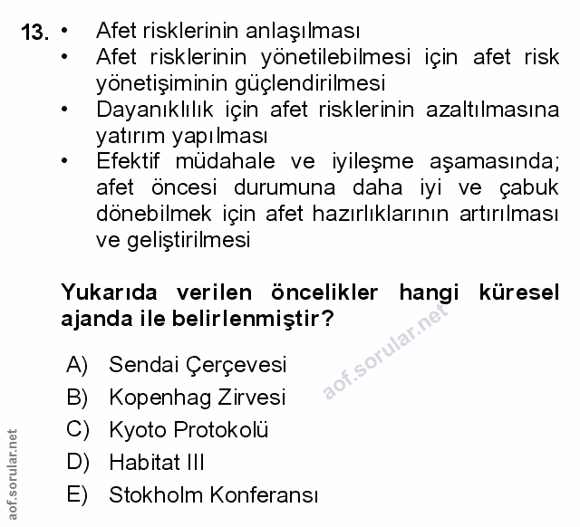 Soru 13