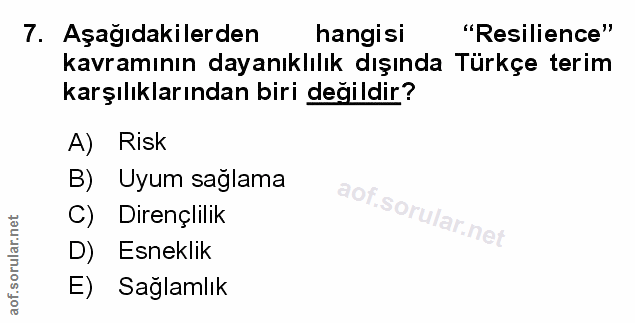 Soru 7