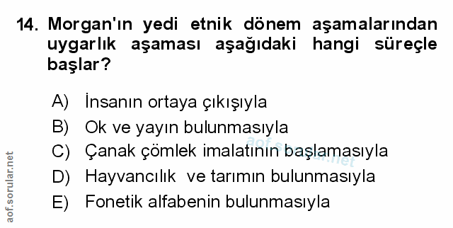 Soru 14