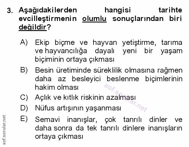 Soru 3