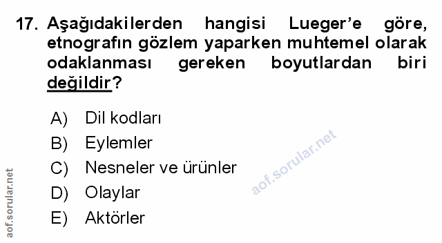 Soru 17