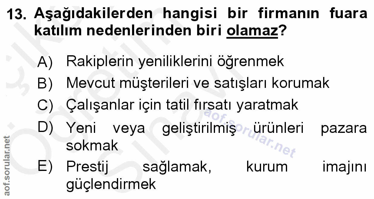 Soru 13