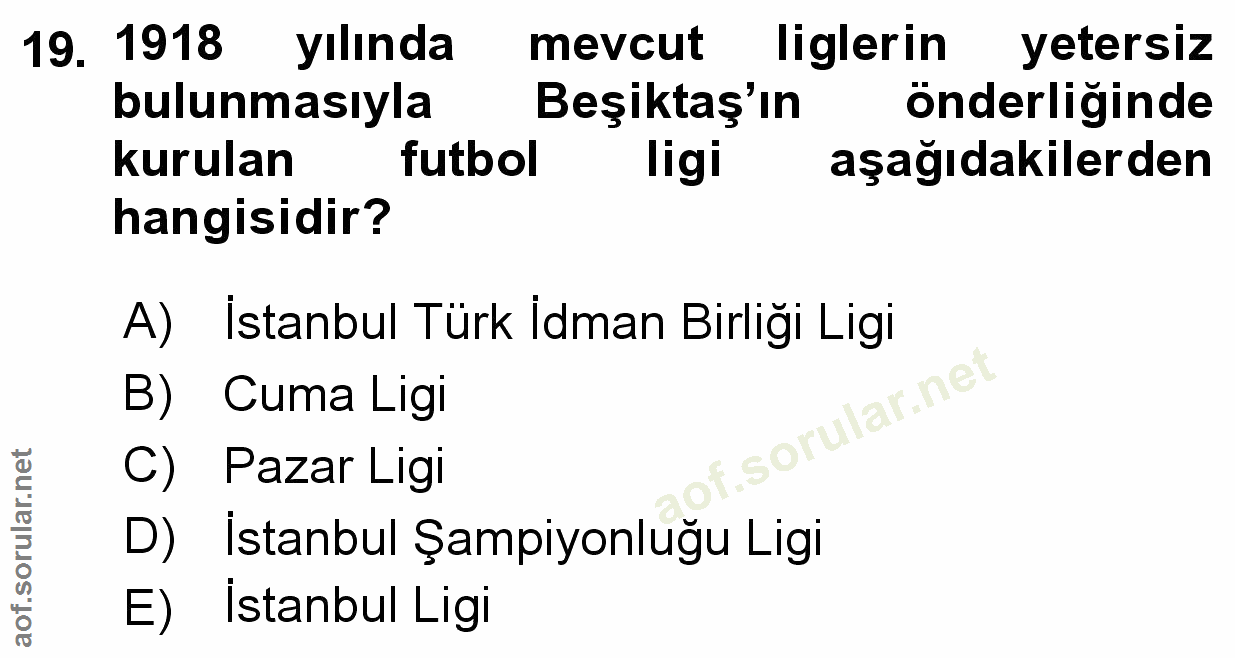 Soru 19