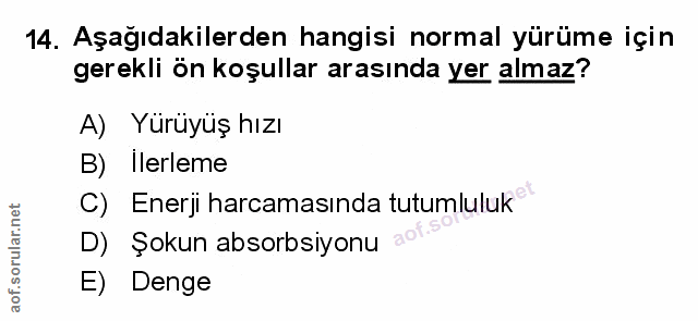 Soru 14