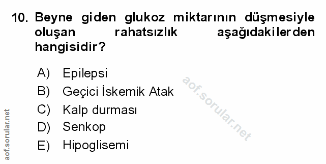 Soru 10