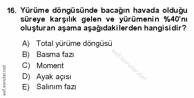 Soru 16