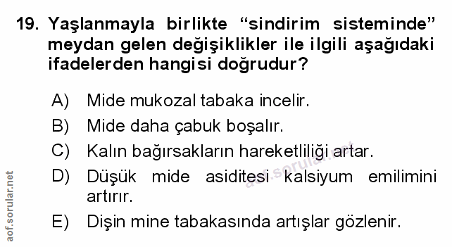Soru 19
