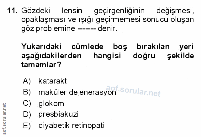 Soru 11