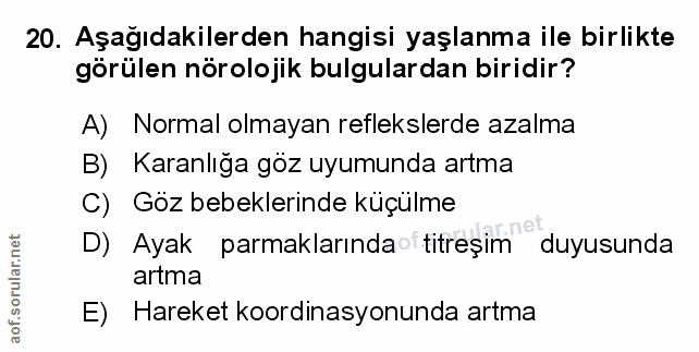 Soru 20