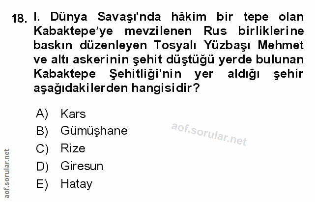 Soru 18