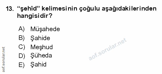 Soru 13