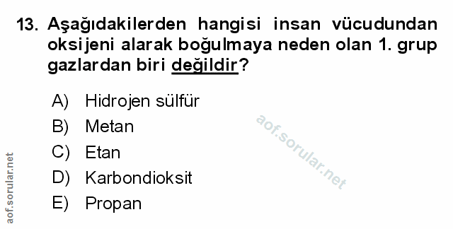 Soru 13