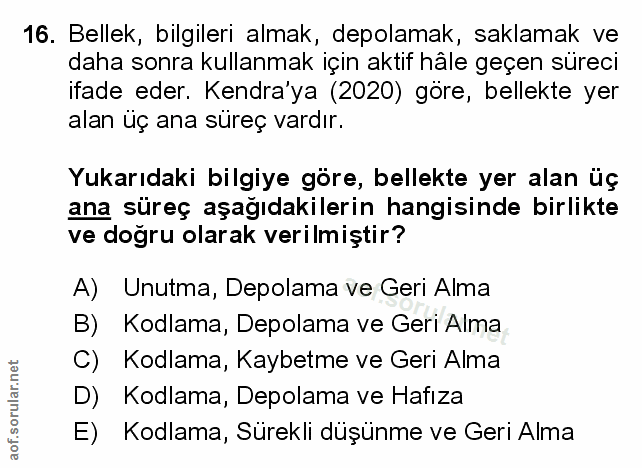 Soru 16