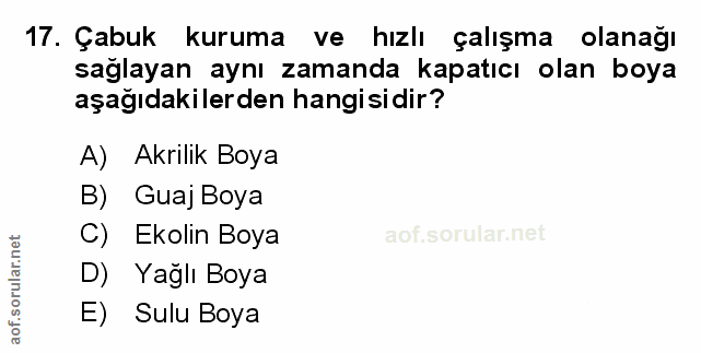 Soru 17