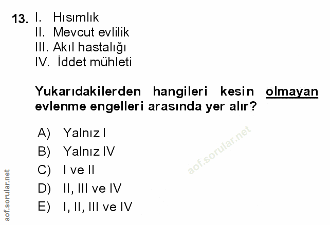 Soru 13
