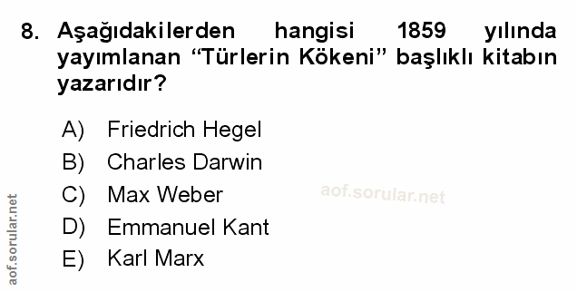 Soru 8