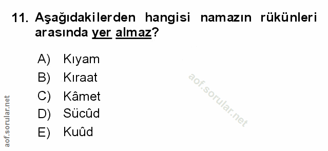 Soru 11