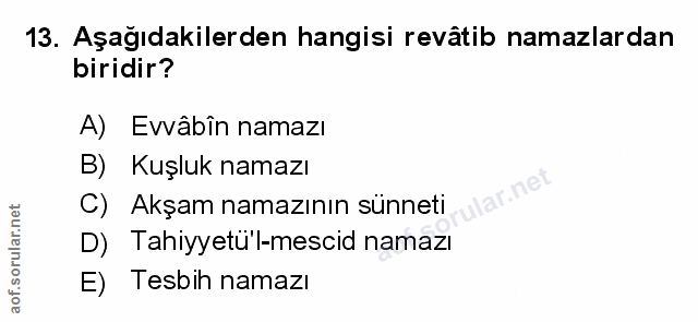 Soru 13