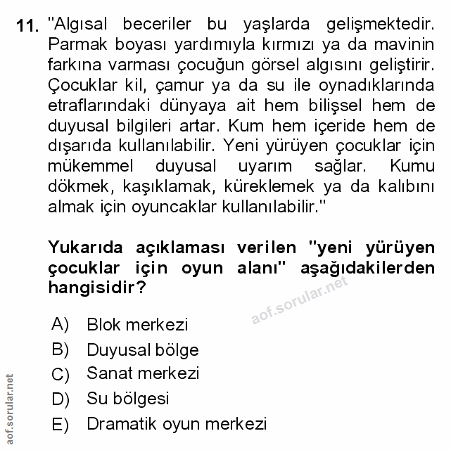 Soru 11