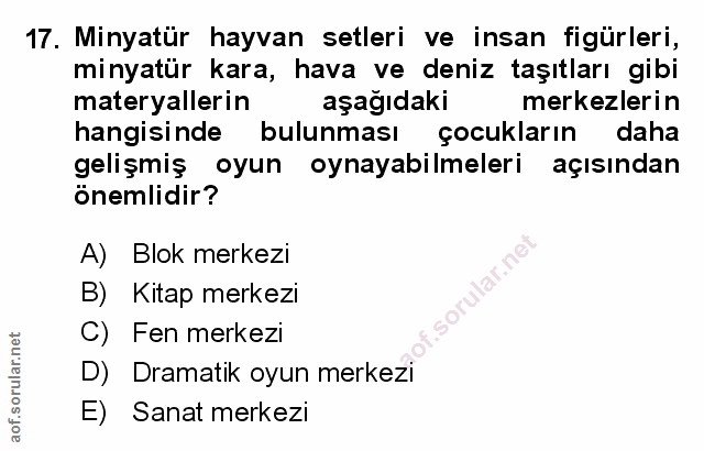 Soru 17