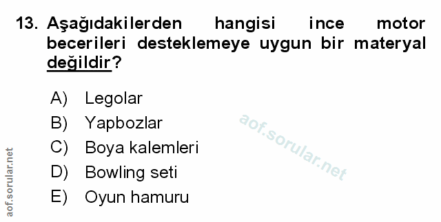 Soru 13
