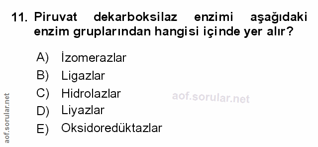 Soru 11