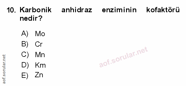 Soru 10